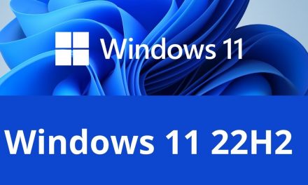 Download Windows 11 22H2 Official ISO English